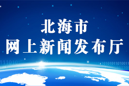 網上新聞發布會 